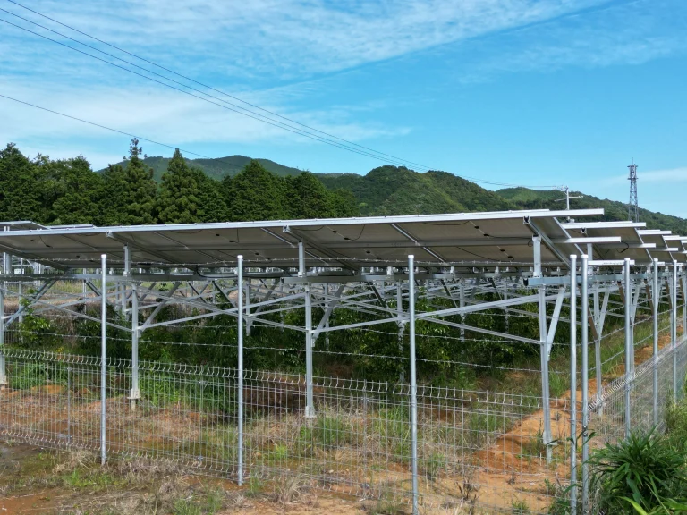 営農型太陽光発電所